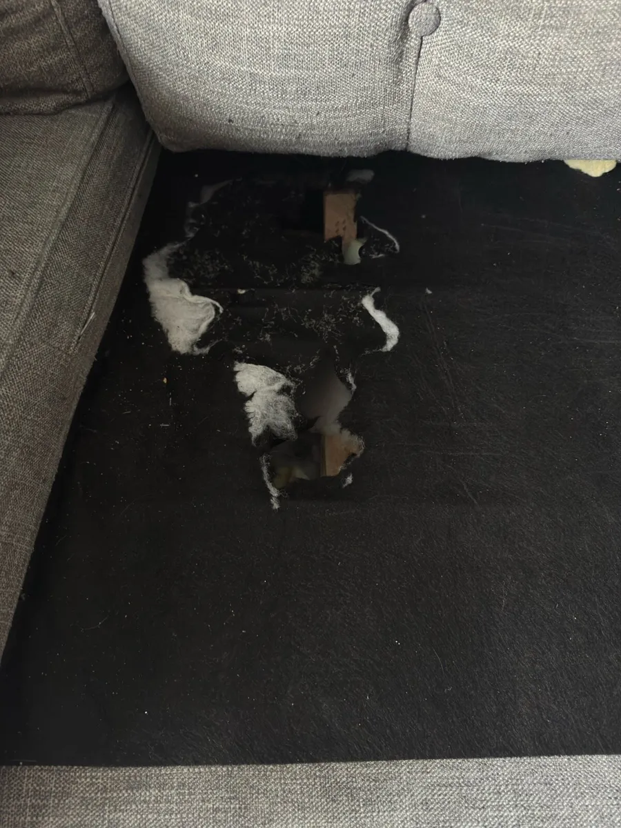 2 Seater Sofa - Image 4