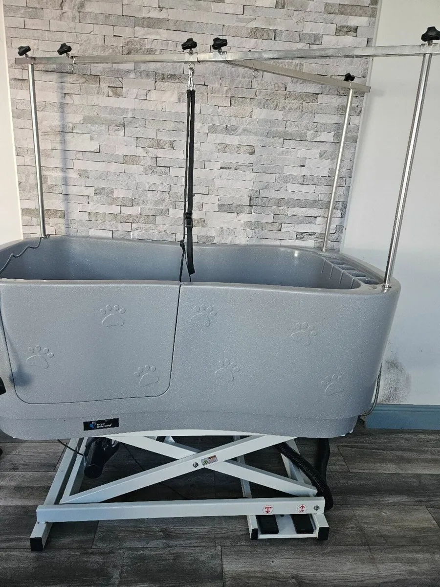 Dog grooming equipment - Image 1