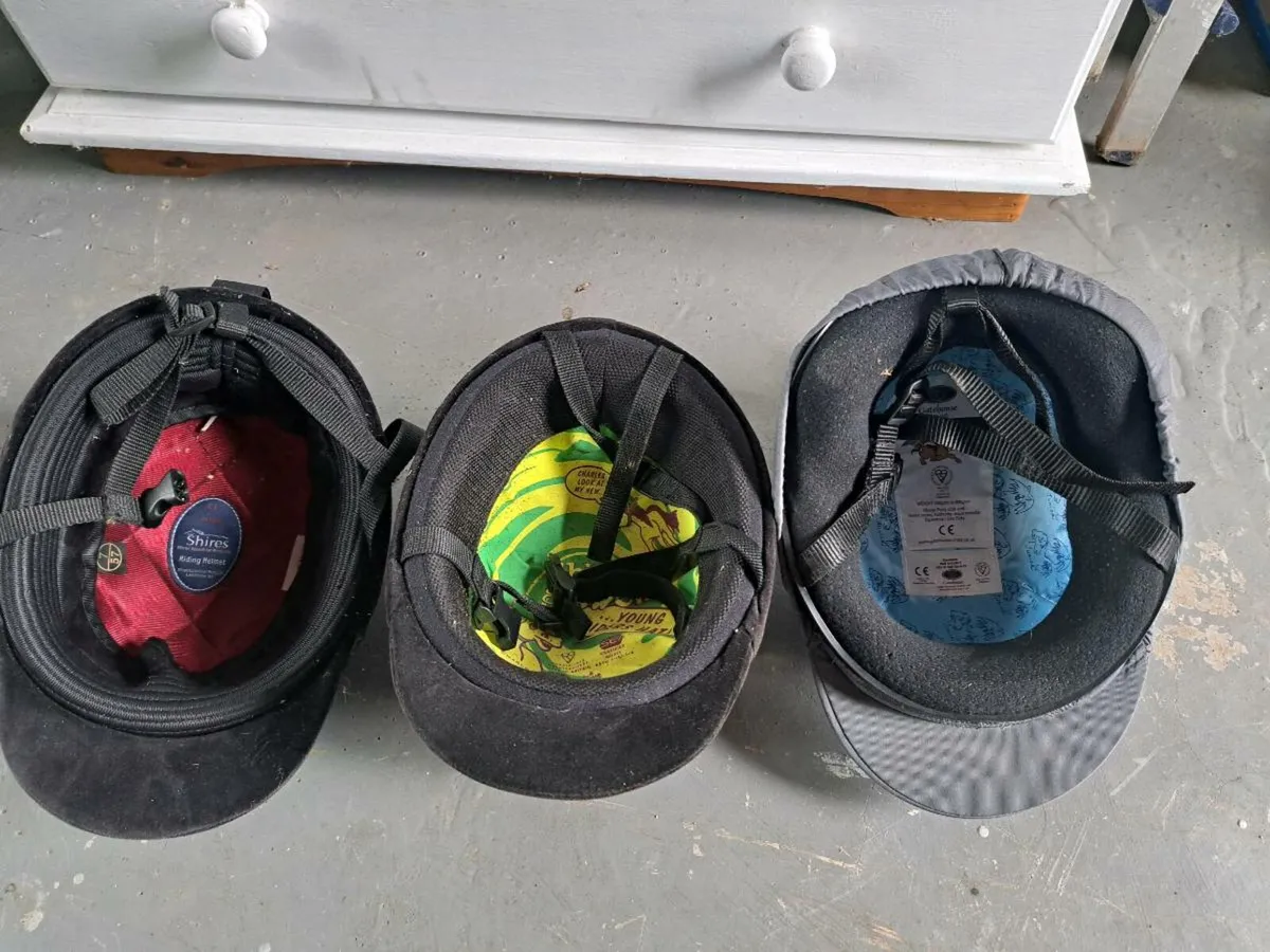 Riding helmets - Image 3
