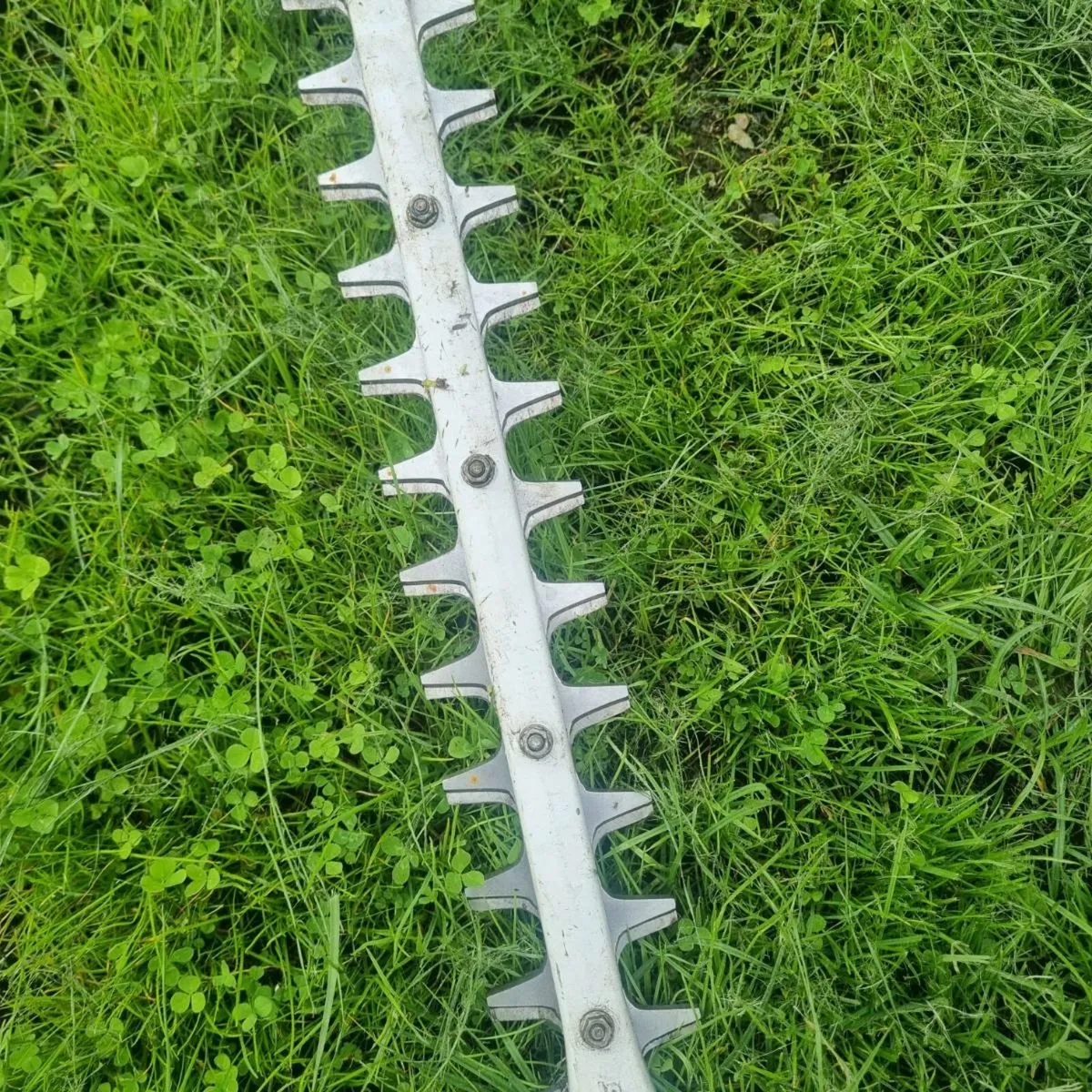 Stihl hedgetrimmer - Image 2