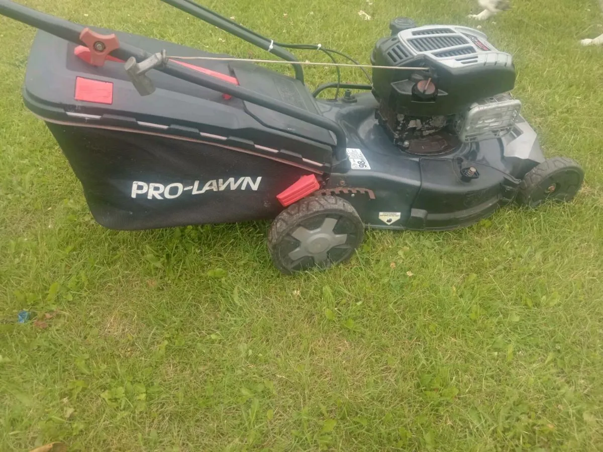 Lawnmowers - Image 4