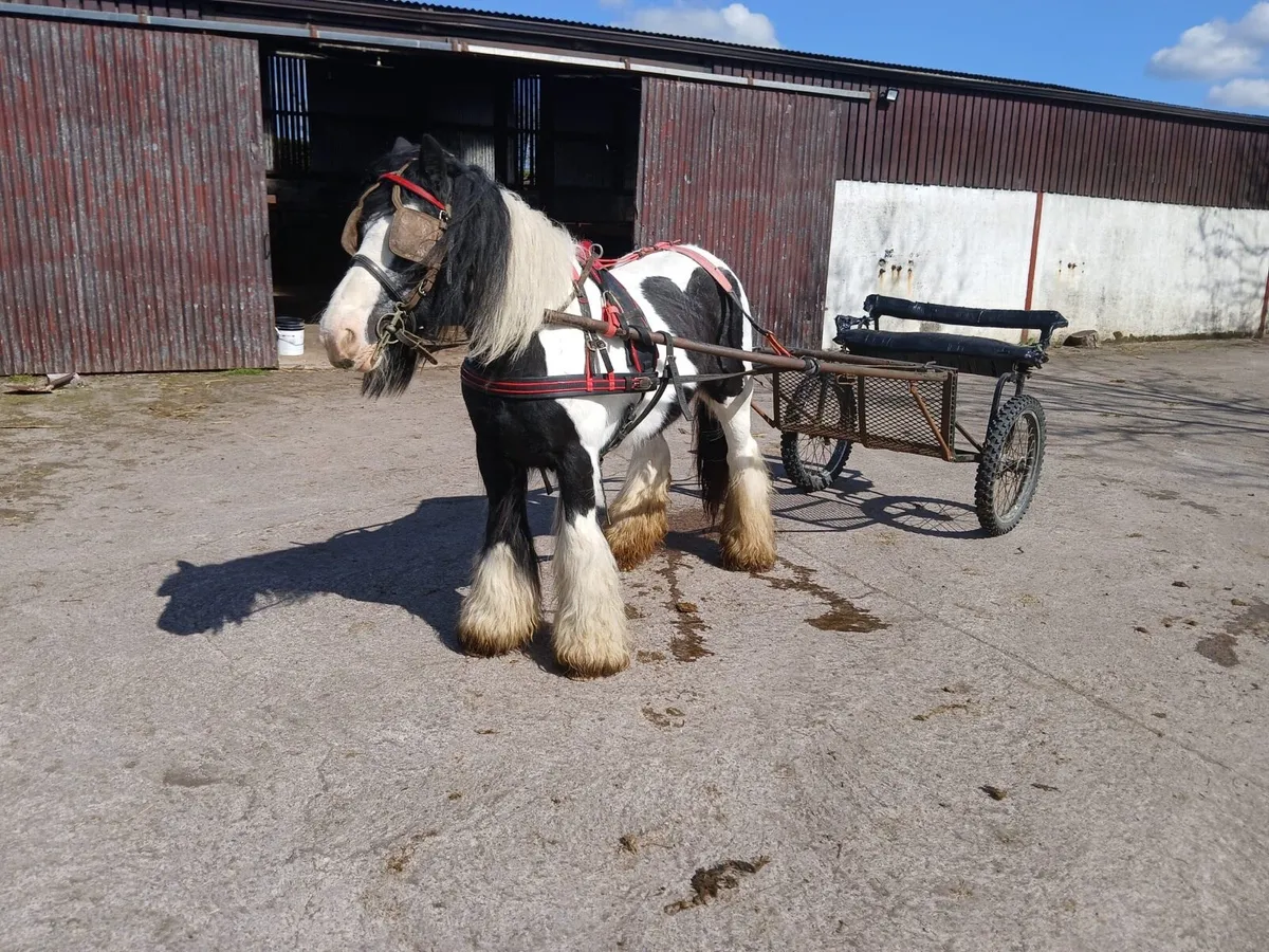 13.3h ride and drive cob