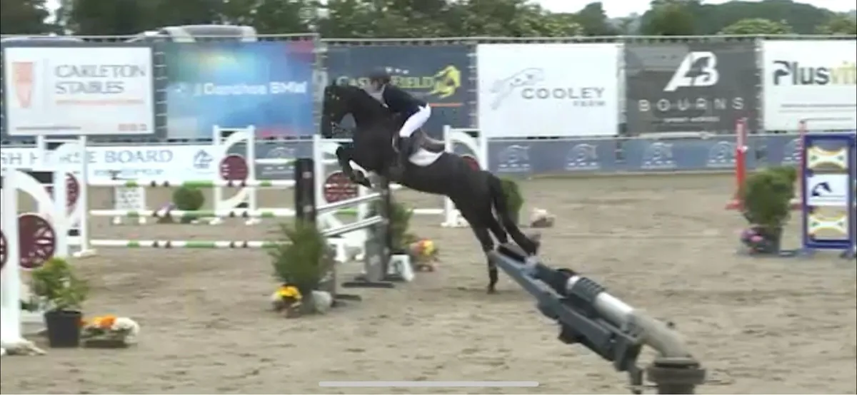Young Rider Showjumper - Image 3