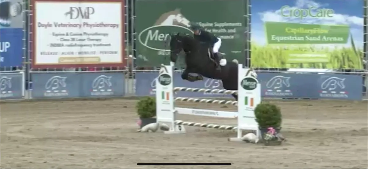 Young Rider Showjumper - Image 4