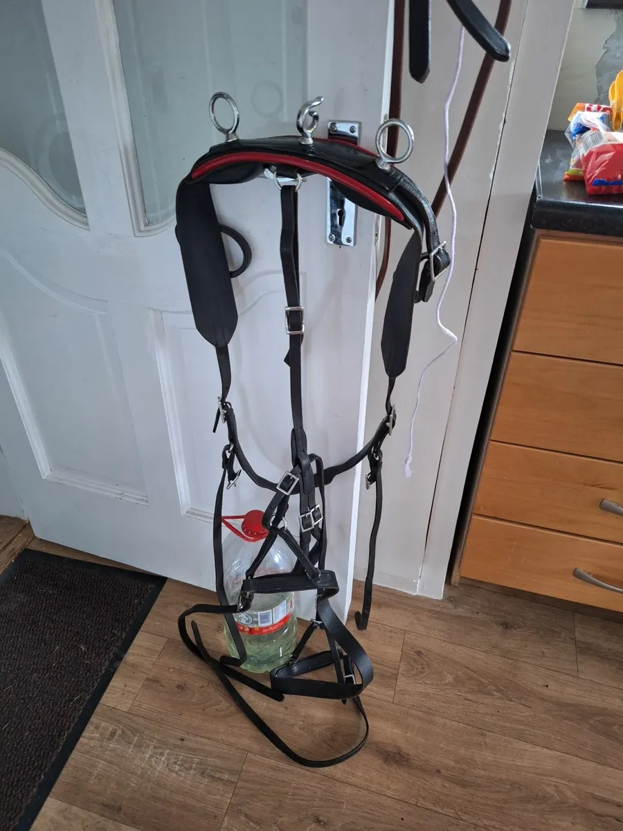 Pony harness and cover - Image 1