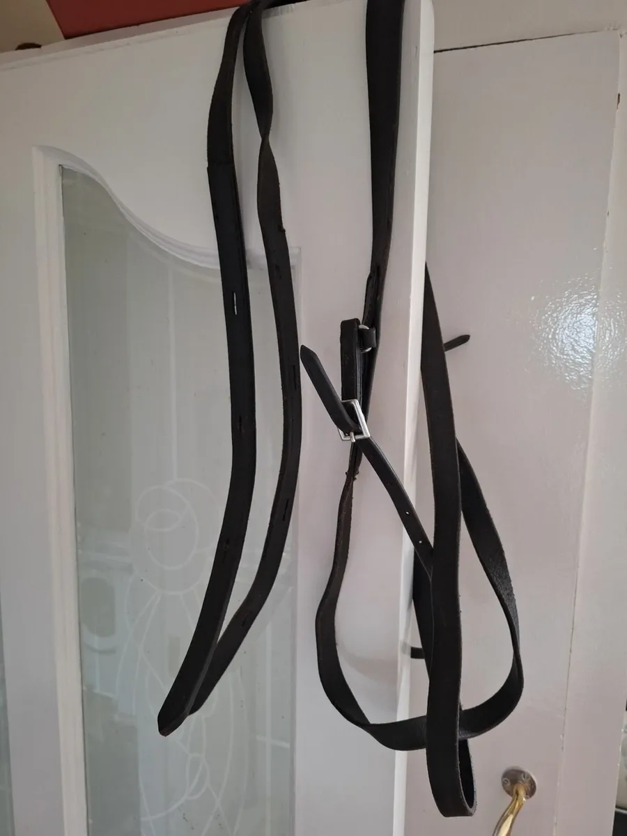 Pony harness and cover - Image 2