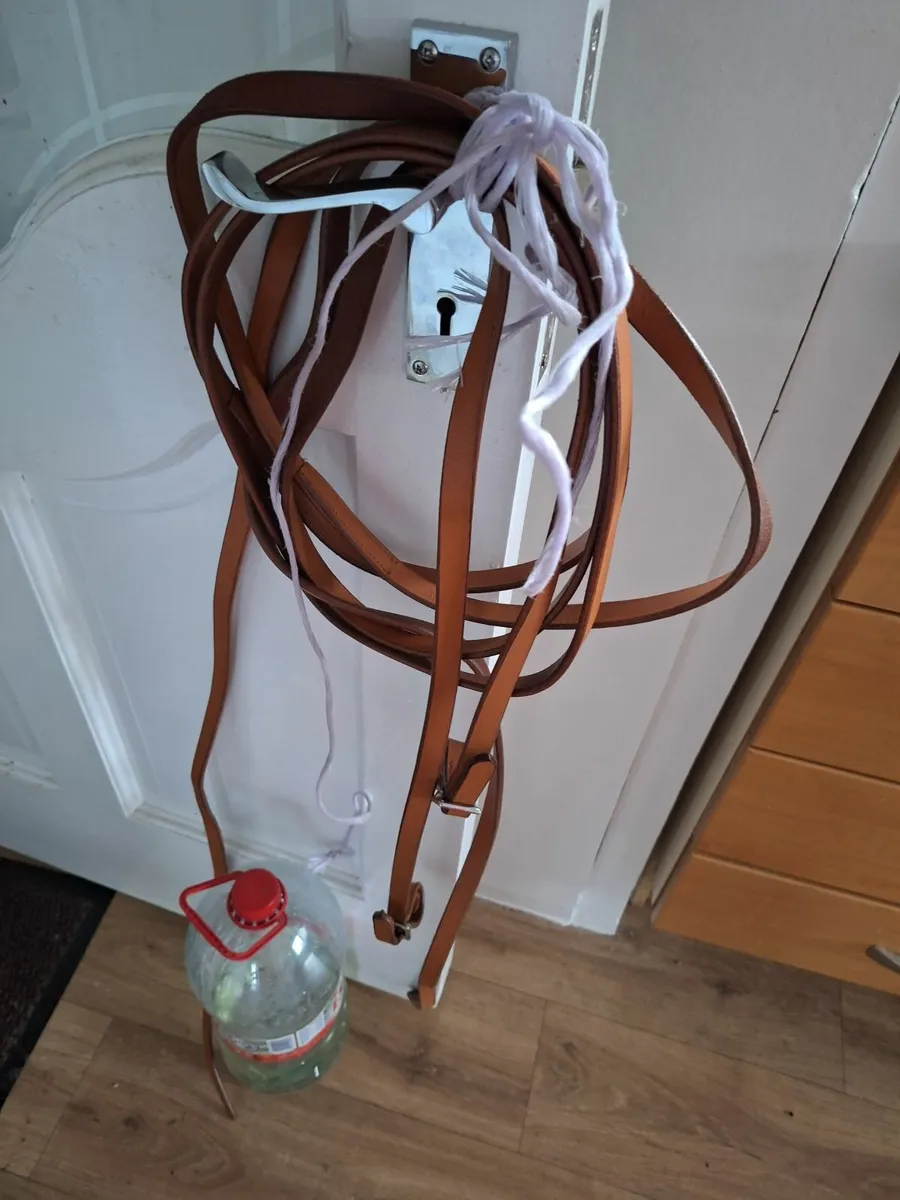 Pony harness and cover - Image 3