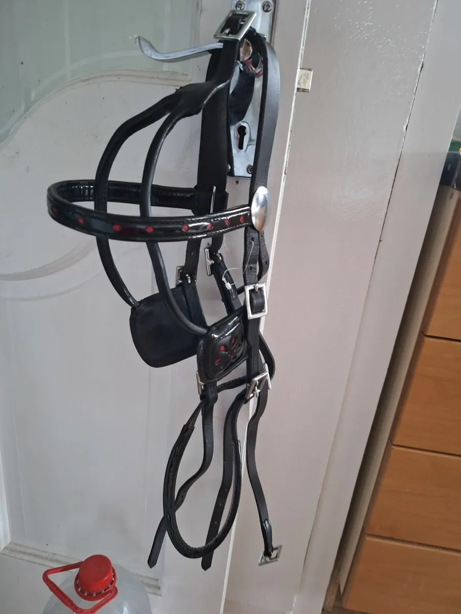 Pony harness and cover - Image 4