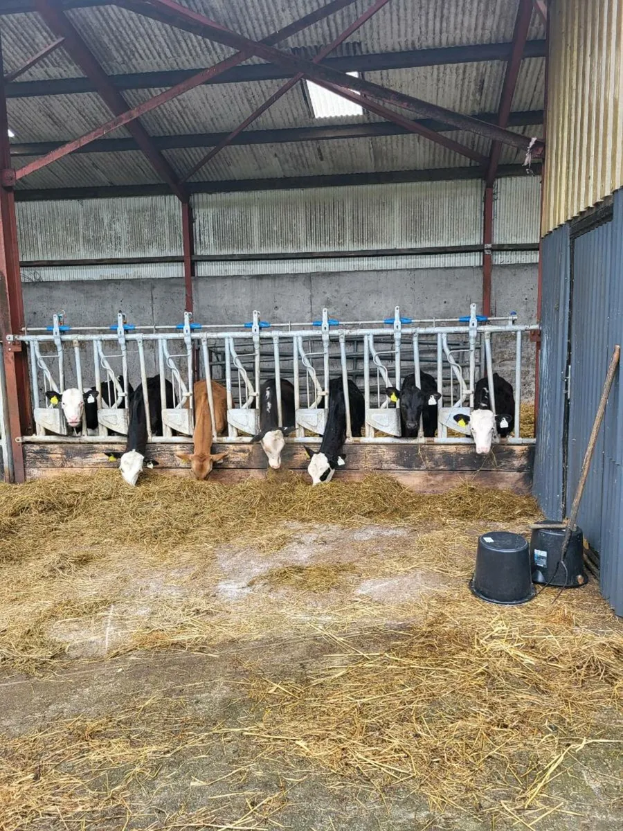 Locking barrier - Image 1