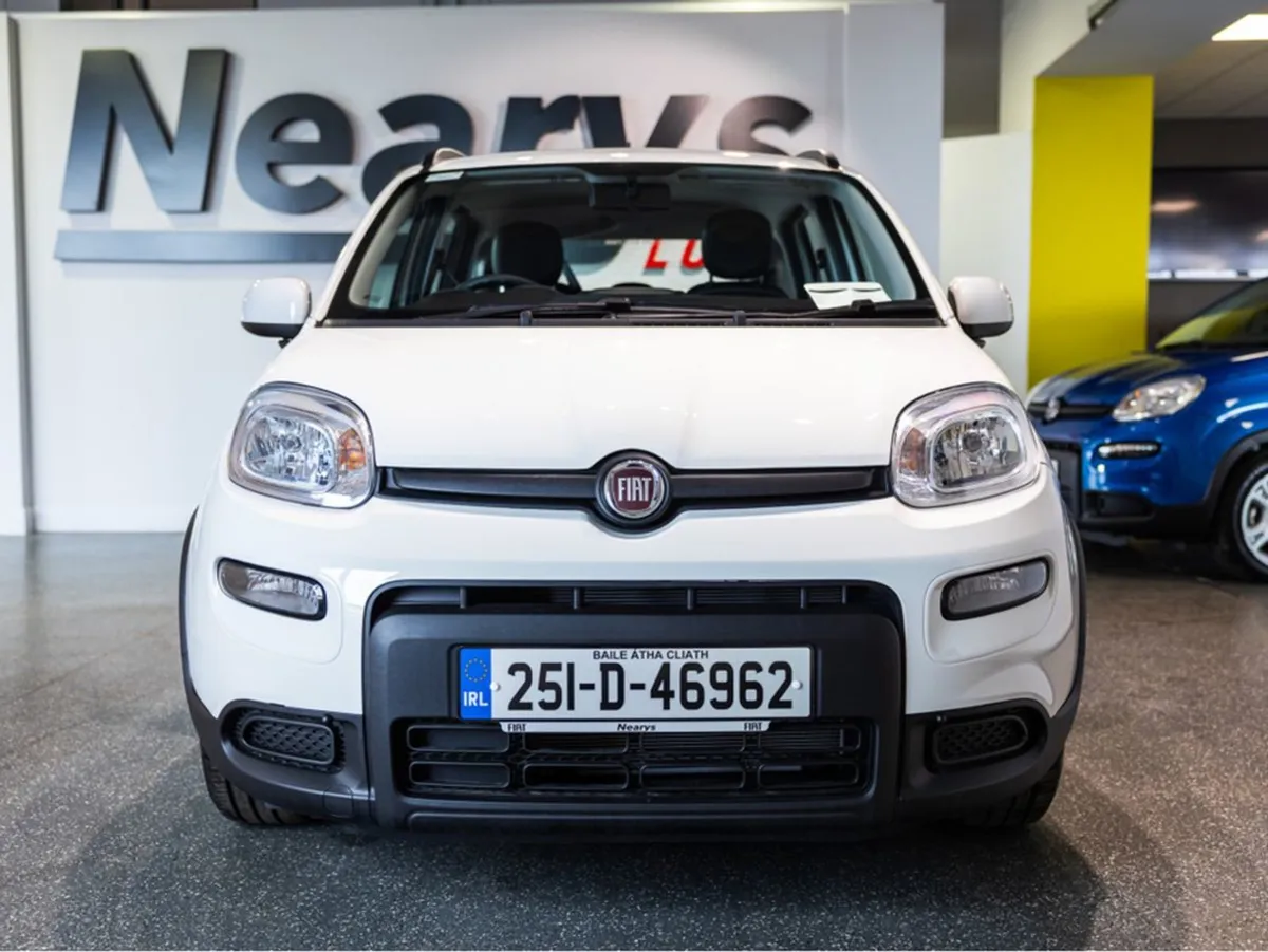 Fiat Panda 1.0 Mhev - Image 2