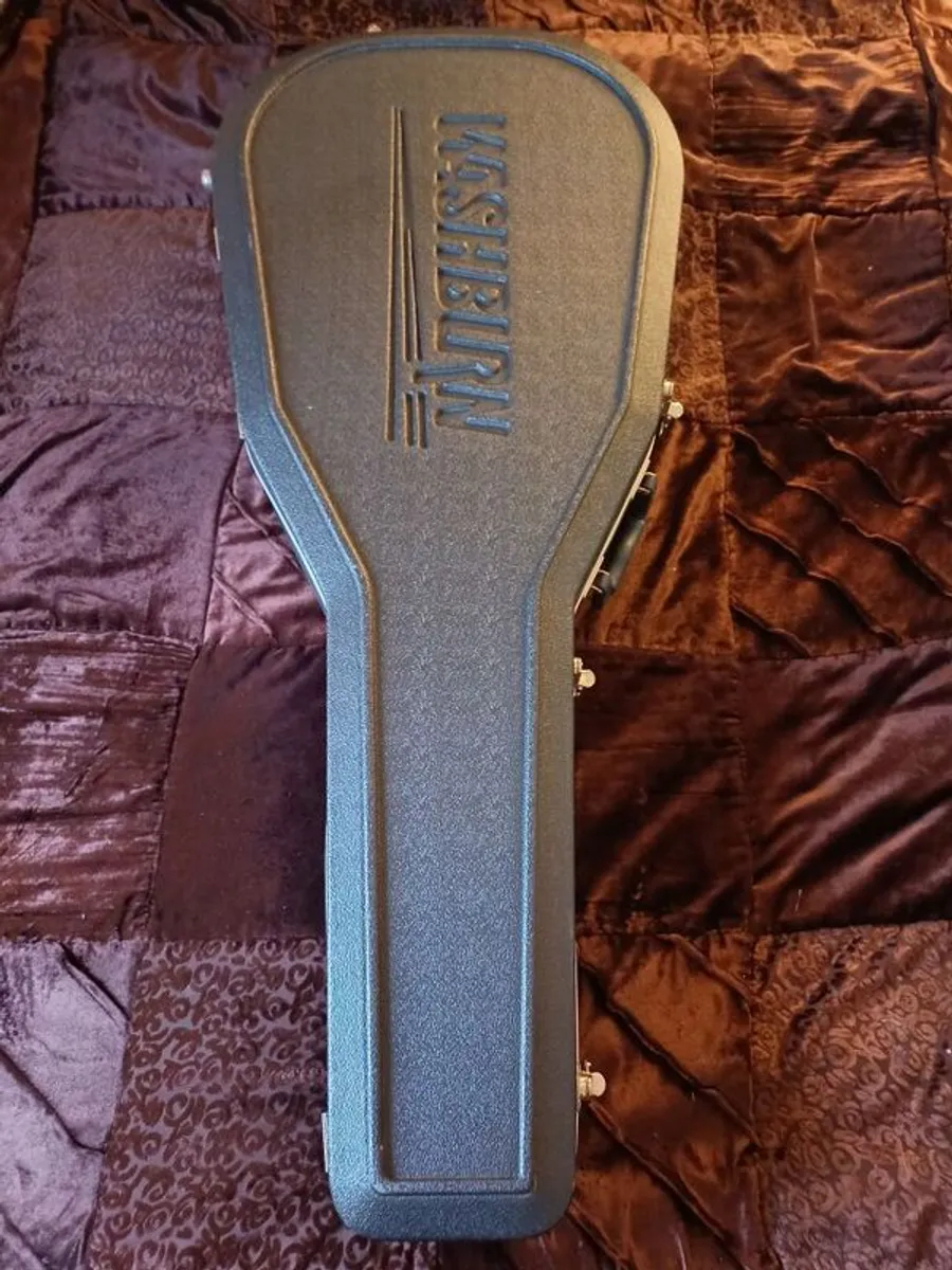 Washburn hard case - Image 1