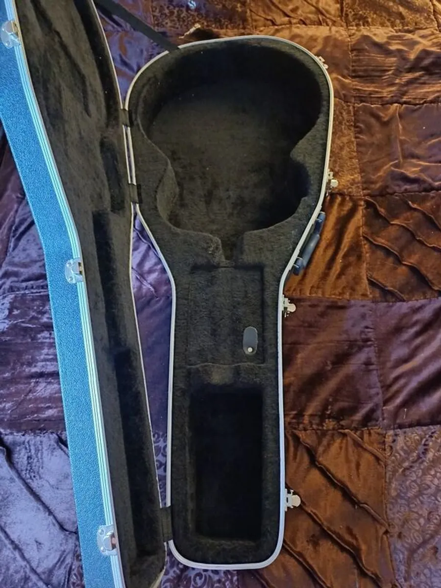 Washburn hard case - Image 2
