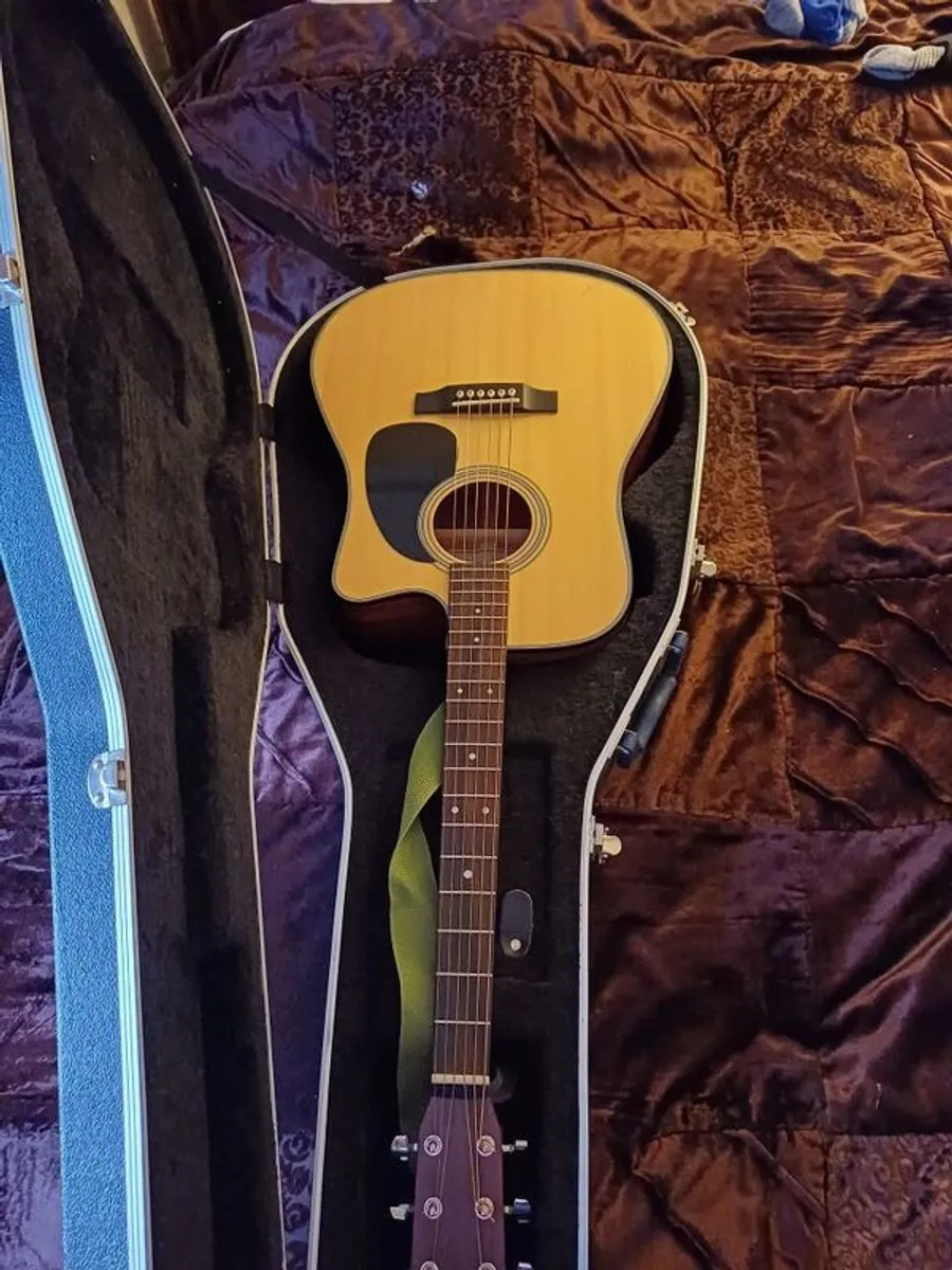Washburn hard case - Image 3