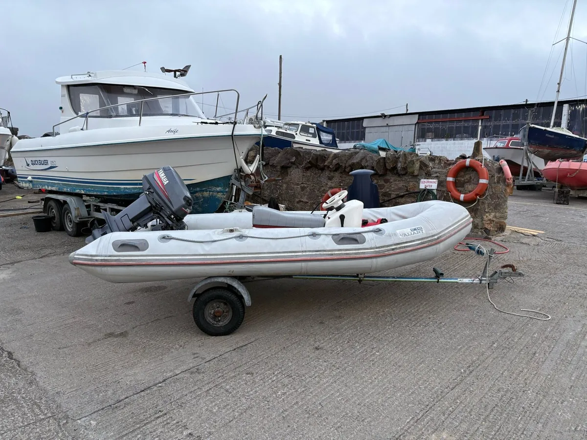 Valiant D340 Rib / Tender - Image 1