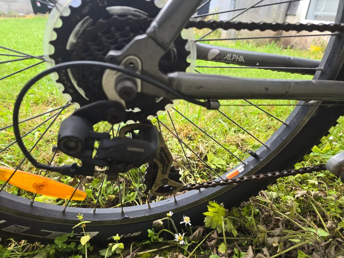 Bike - Image 3