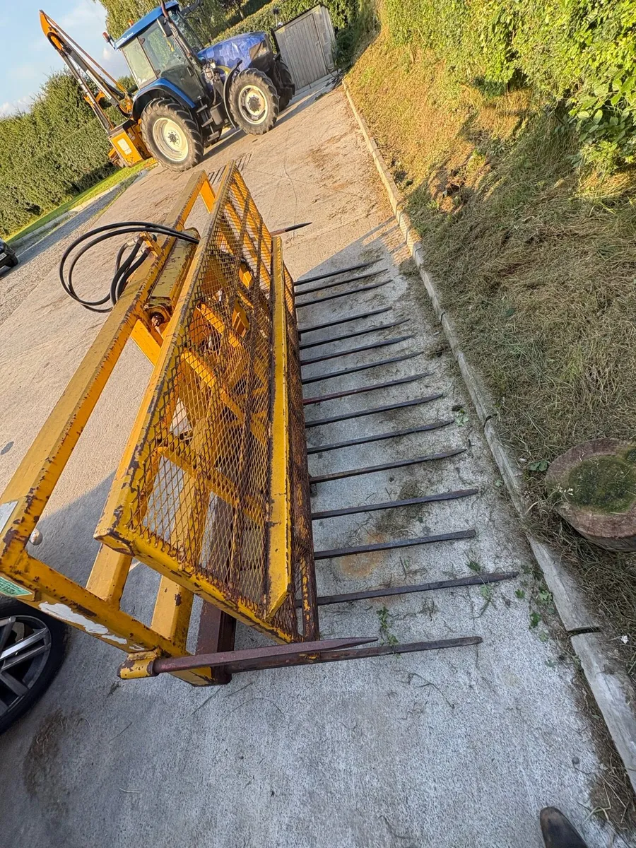 buckrake - Image 3