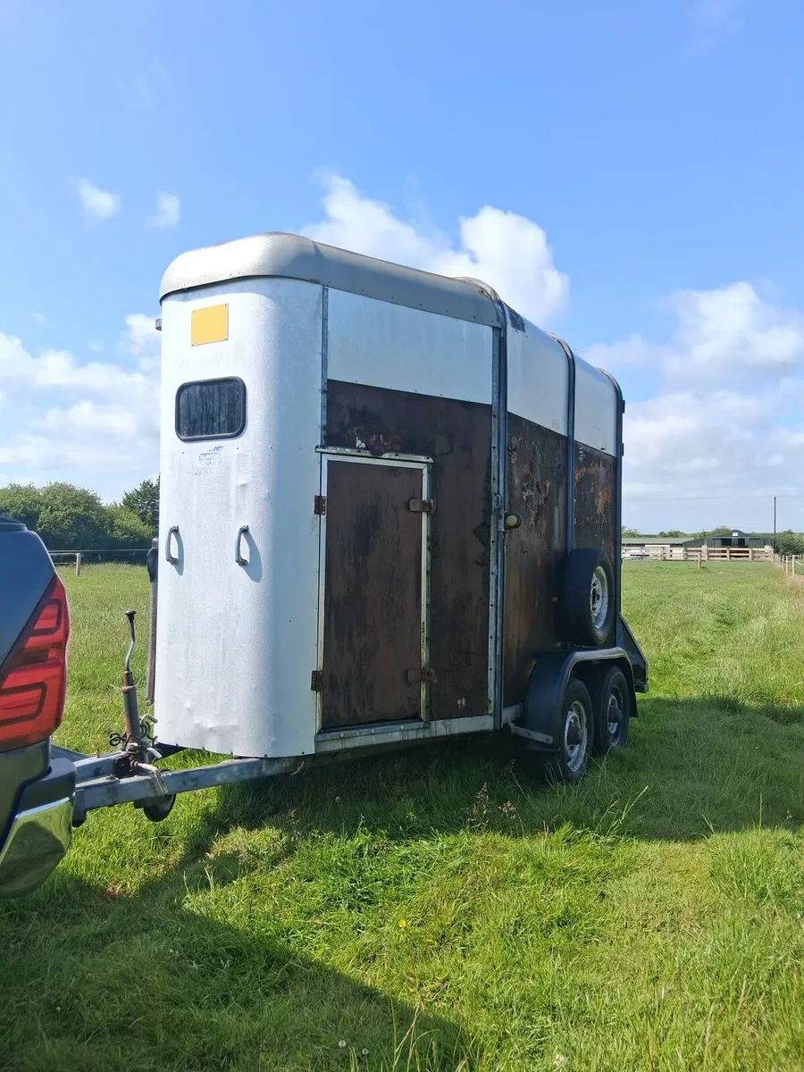 Horse box - Image 4