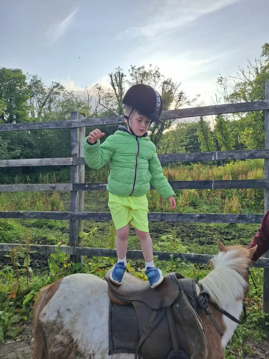 Super Kid's Pony - Image 1