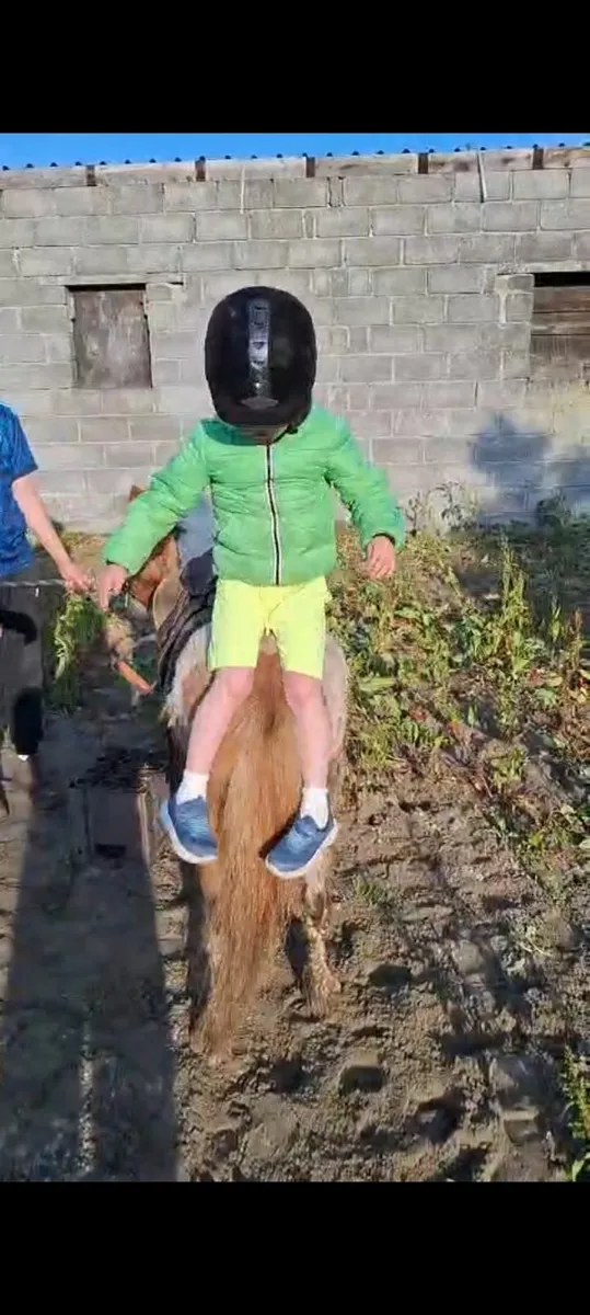Super Kid's Pony - Image 3