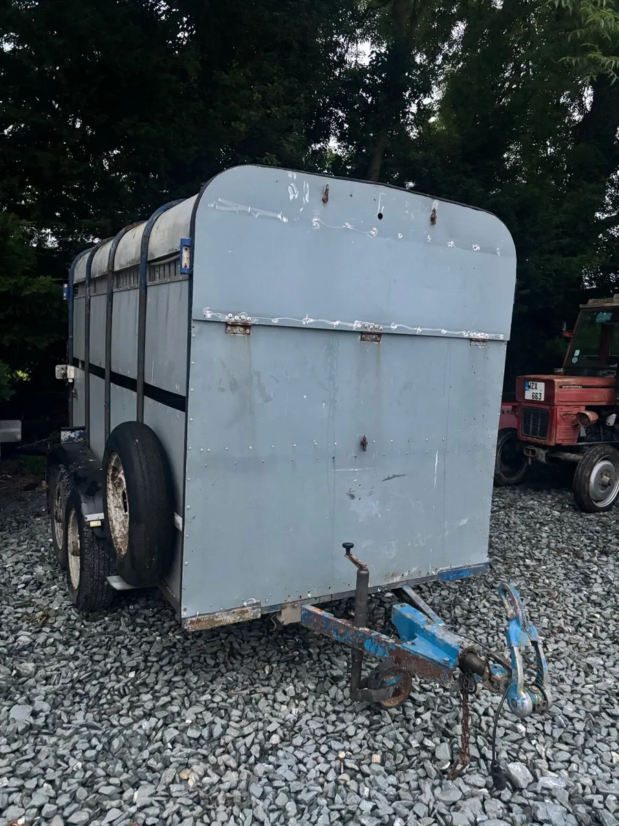 Delaneys cattle trailer - Image 1