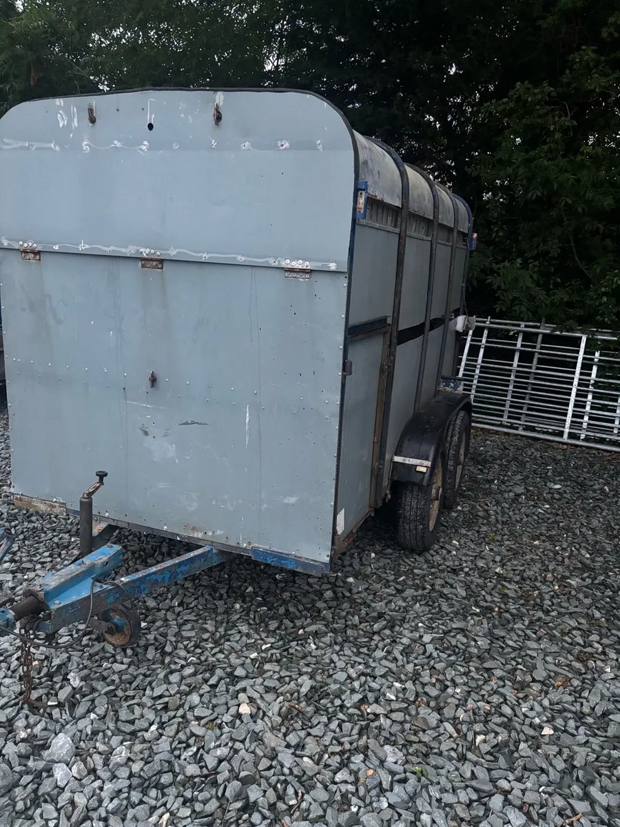 Delaneys cattle trailer - Image 2