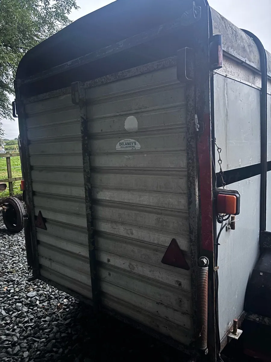 Delaneys cattle trailer - Image 3