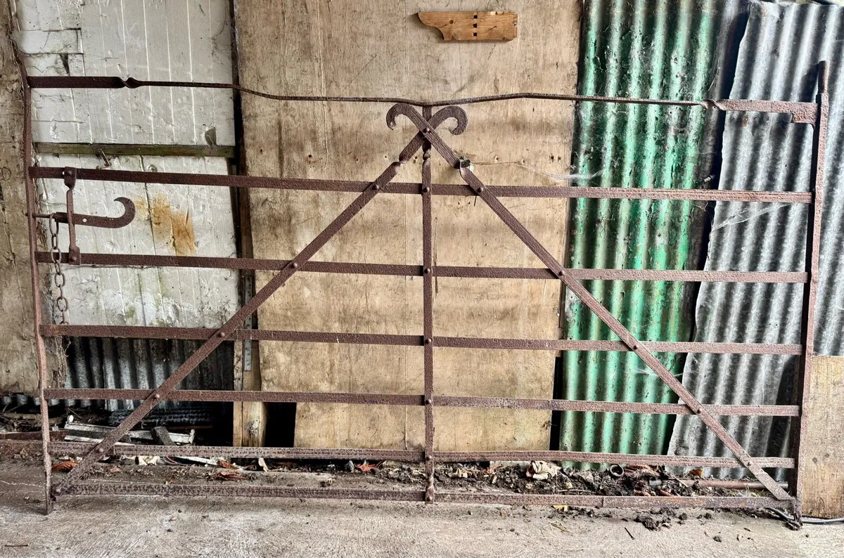 Wrought Iron gates - Image 1