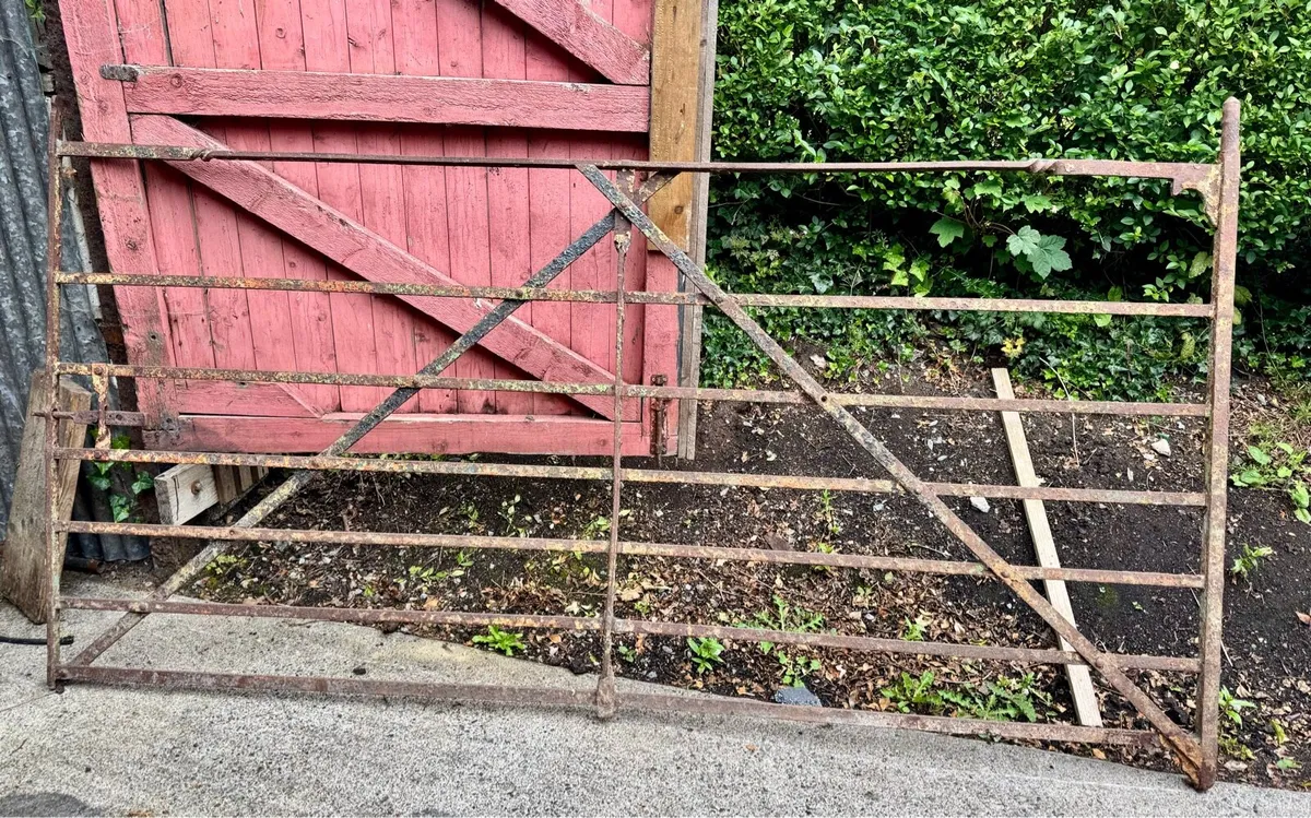 Wrought Iron gates - Image 2