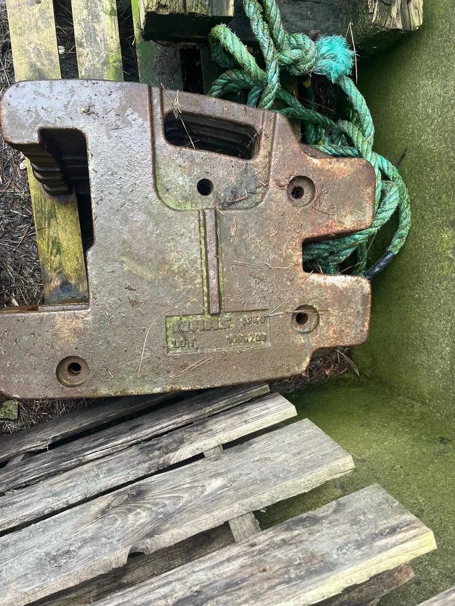 Claas Weights - Image 1