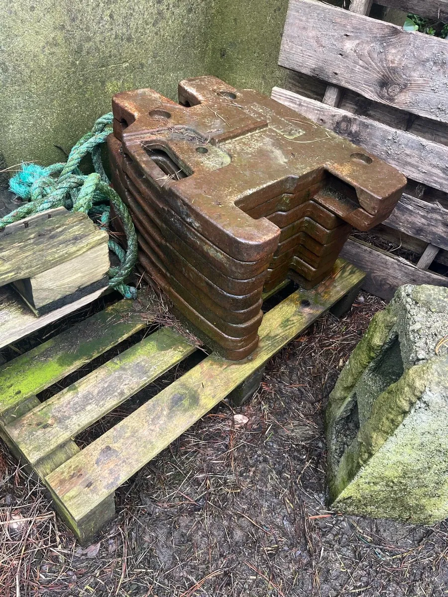 Claas Weights - Image 2