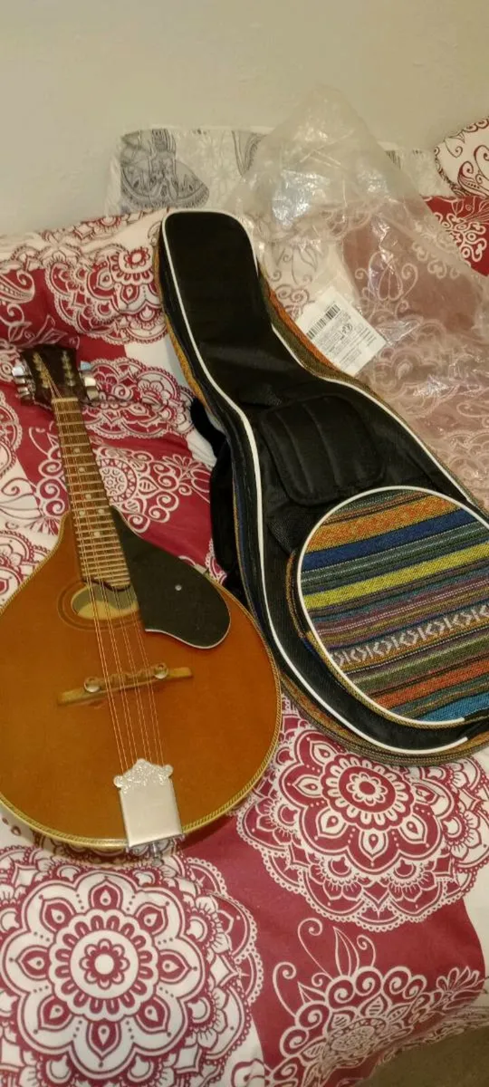 Palmer P3W Mandolin made in Korea - Image 1