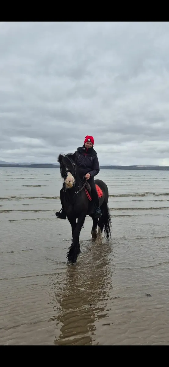 Pony - Image 2