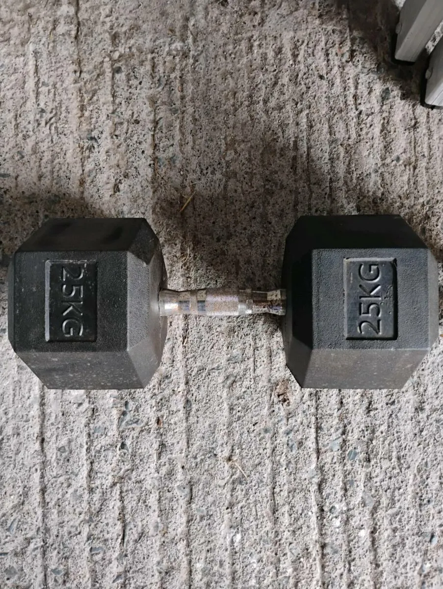 25 kg Dumbbell