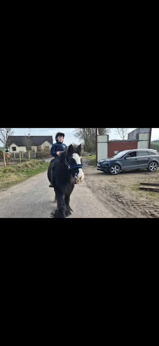 Pony - Image 3