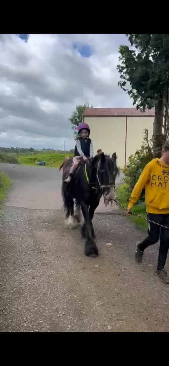 Pony - Image 4