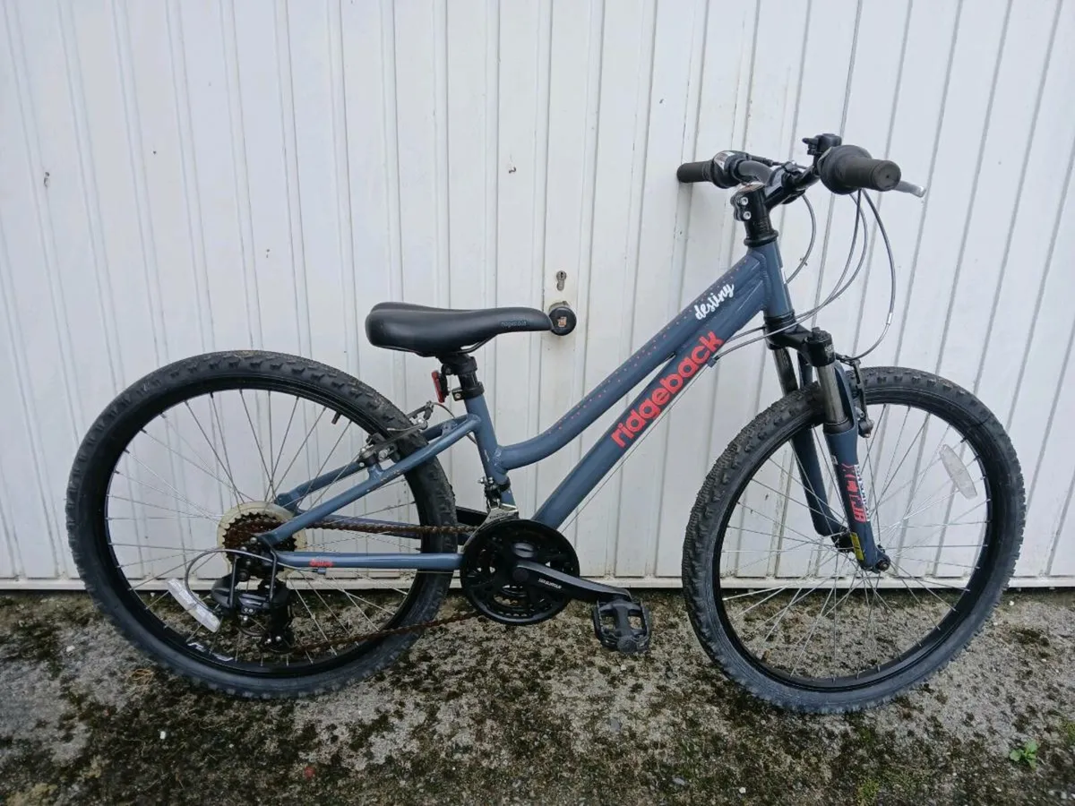 All sizes of used bikes - Image 1