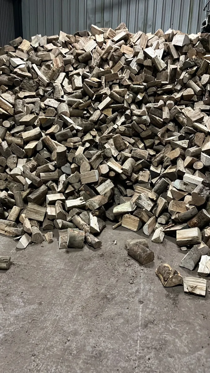 Firewood - Image 2