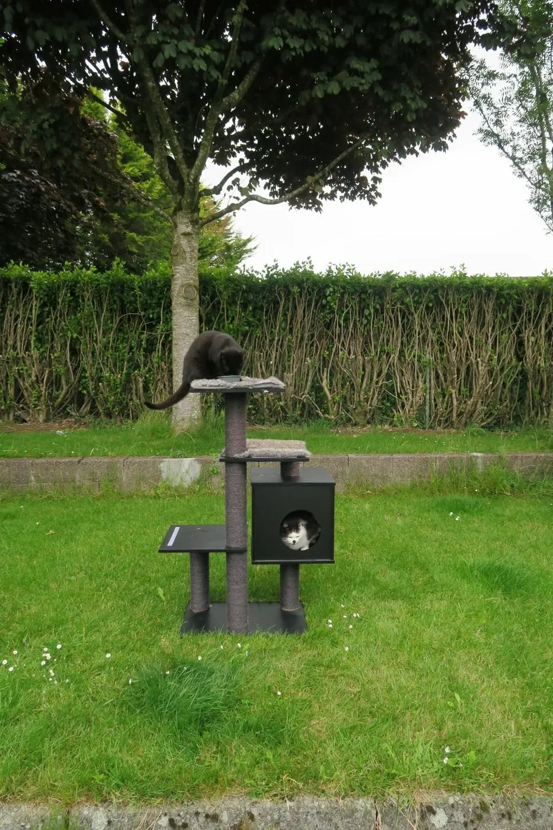 Playtime house for cats - Image 1