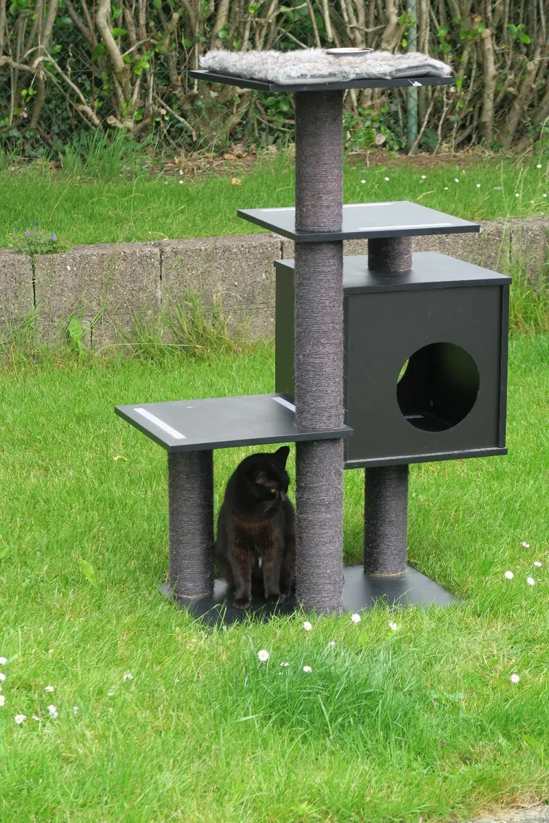 Playtime house for cats - Image 3