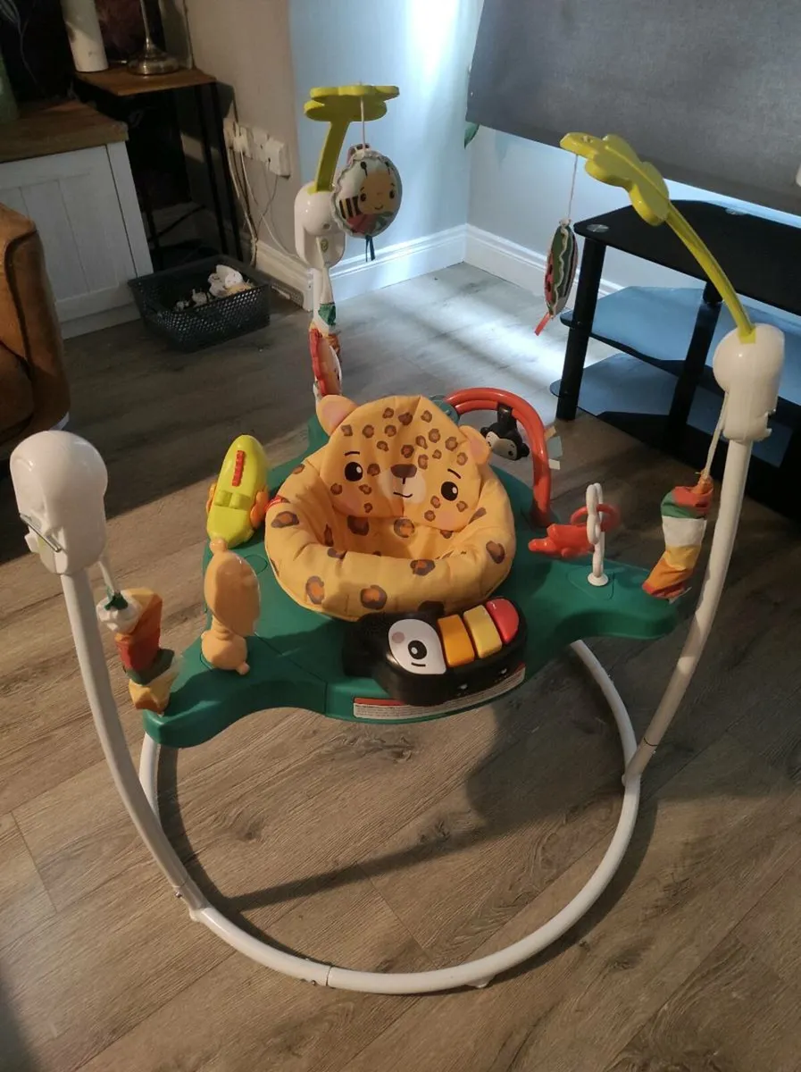 Fisher-Price Jumperoo Baby Bouncer - Image 2