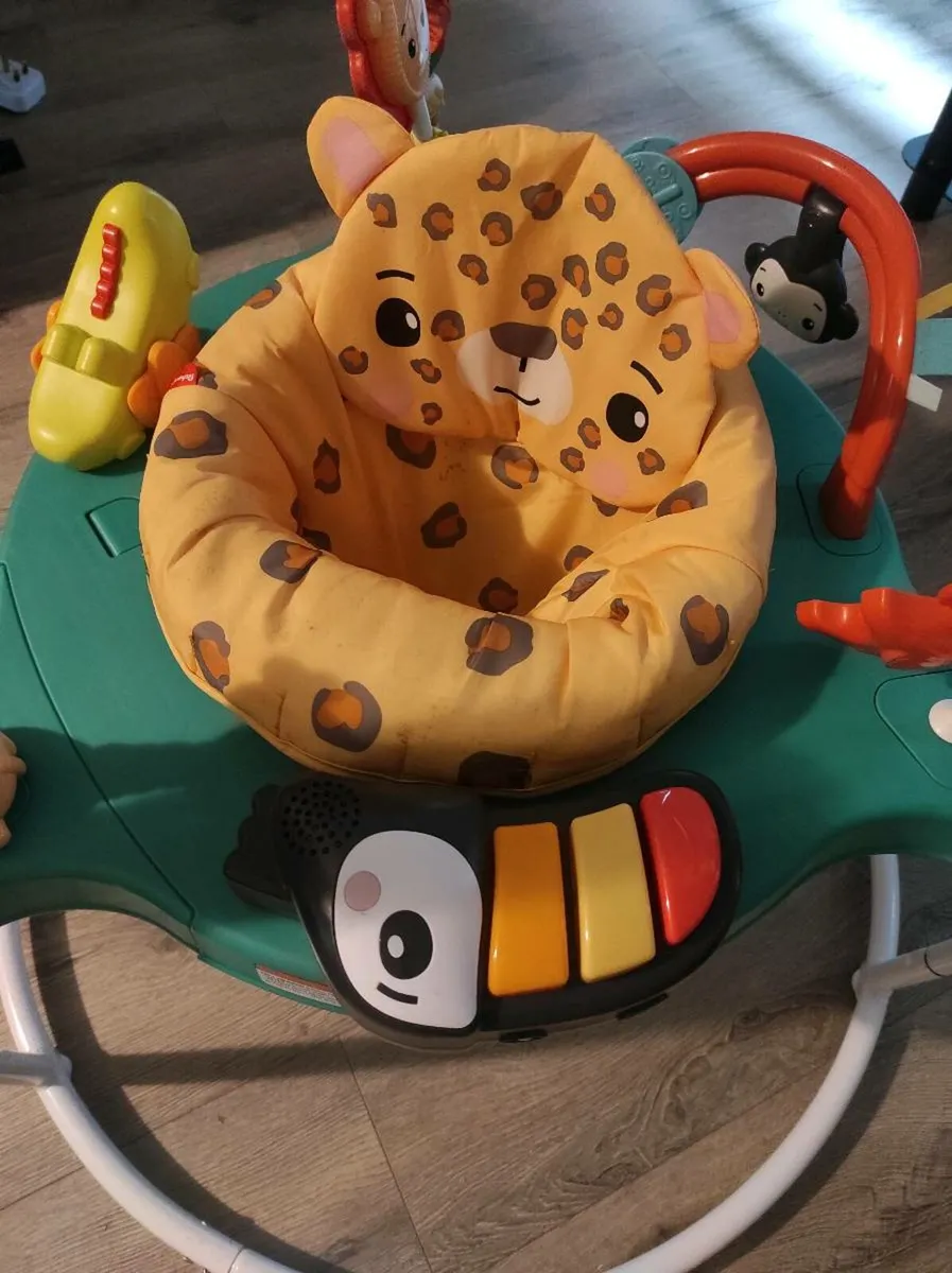 Fisher-Price Jumperoo Baby Bouncer - Image 3