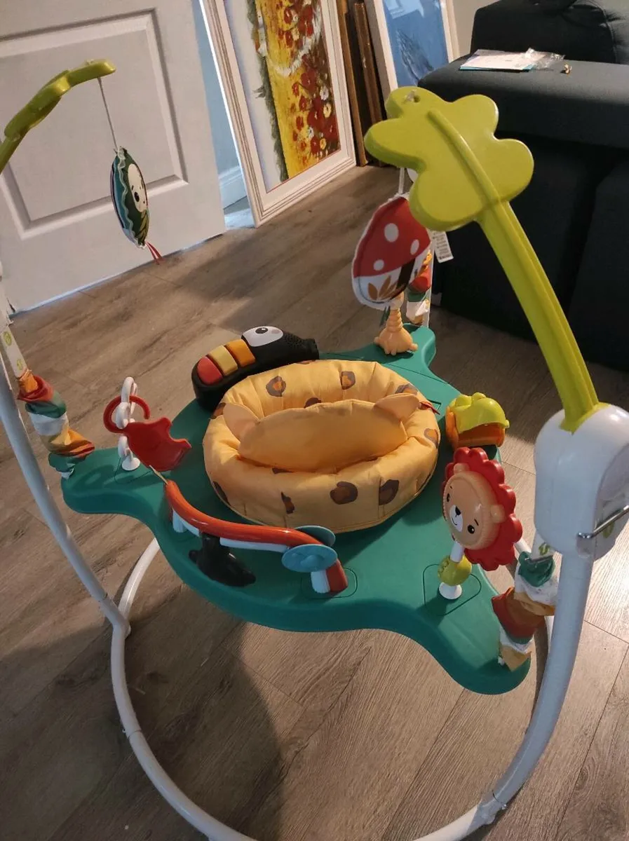Fisher-Price Jumperoo Baby Bouncer - Image 4