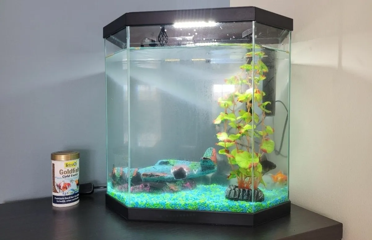 Fish tank - Image 1