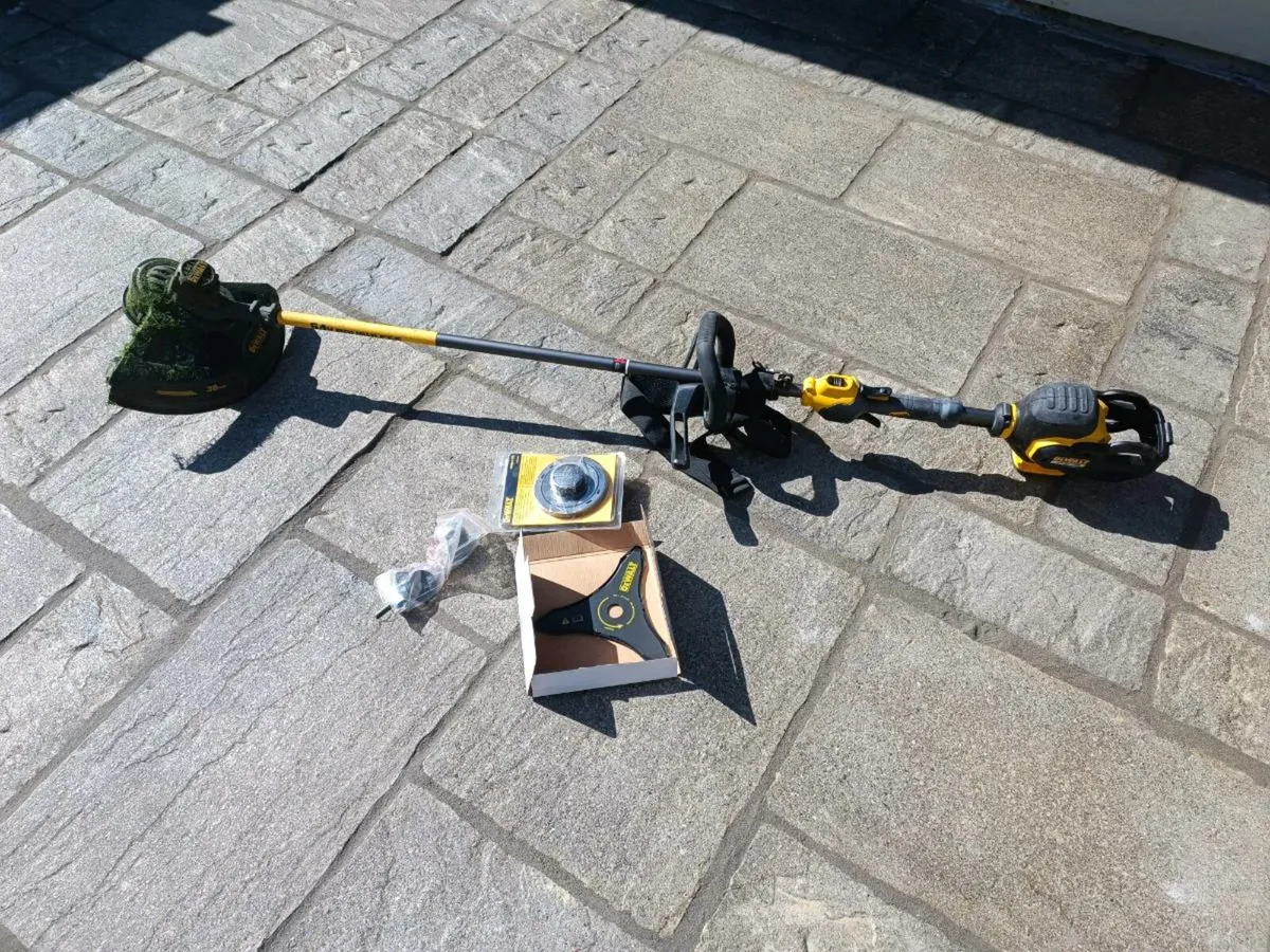 DeWalt flexvol trimmer.