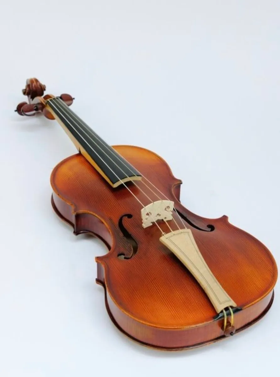 Violin