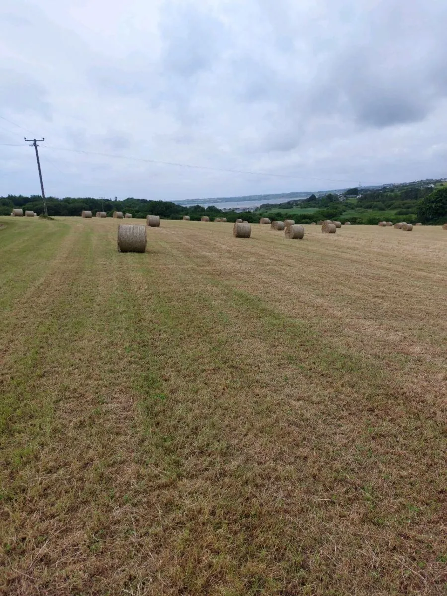 New hay bales - first cut - Image 1