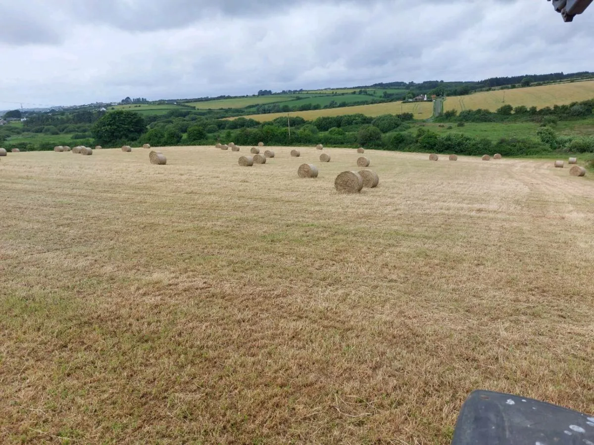 New hay bales - first cut - Image 2