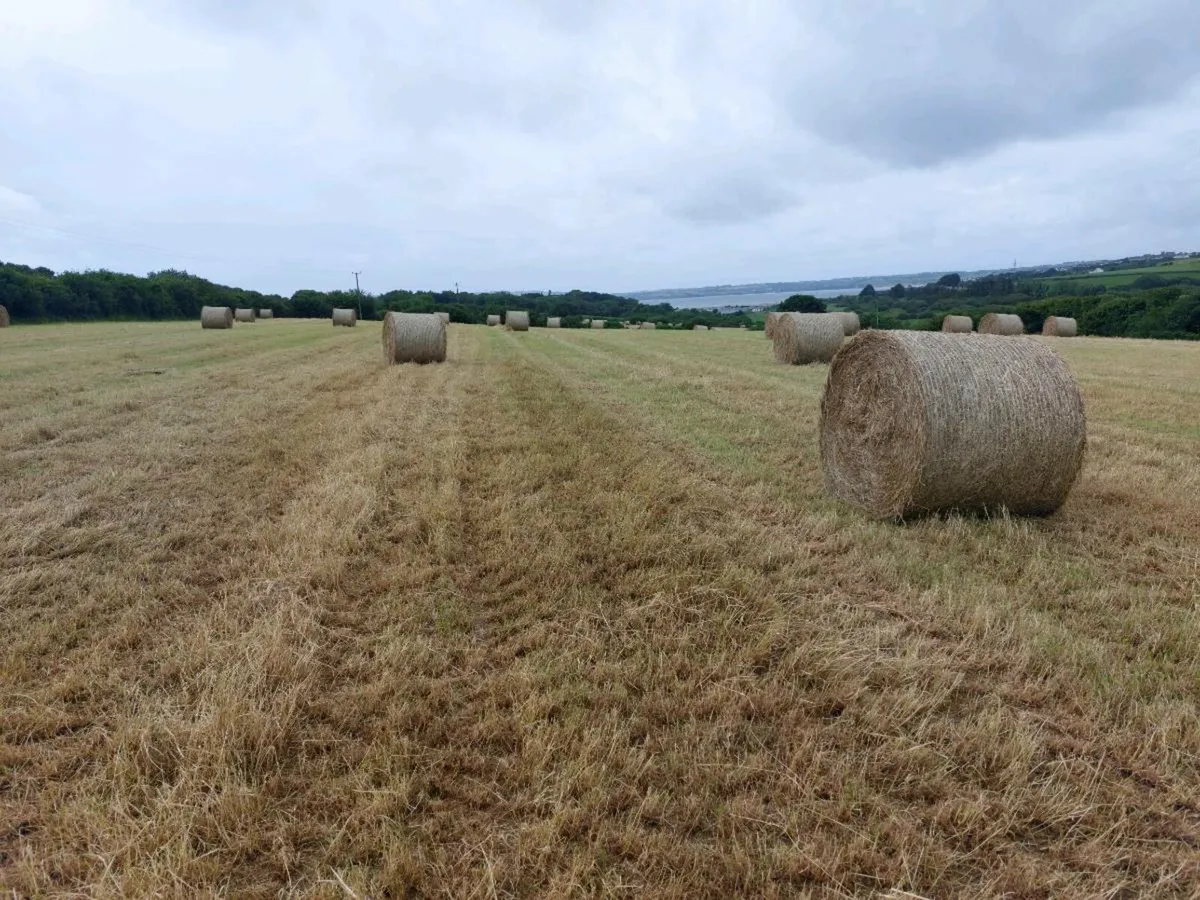 New hay bales - first cut - Image 3