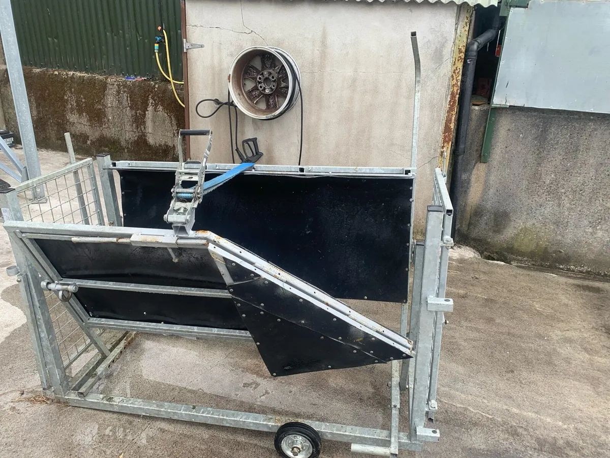 Sheep turnover crate - Image 3