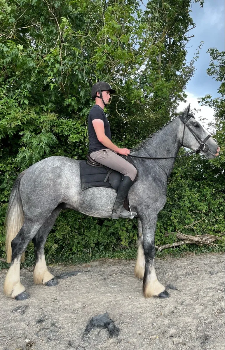 ☘️Lot 368 goresbridge sales☘️ - Image 2